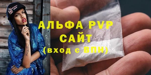 стаф Арсеньев