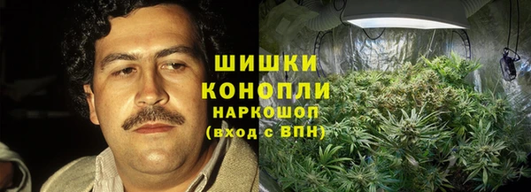 ПСИЛОЦИБИНОВЫЕ ГРИБЫ Аркадак