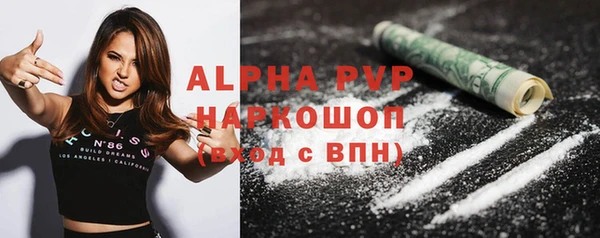стаф Арсеньев