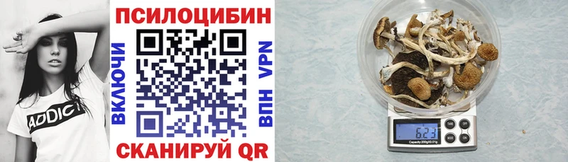 нарко площадка телеграм сколько стоит Певек Галлюциногенные грибы Psilocybine cubensis